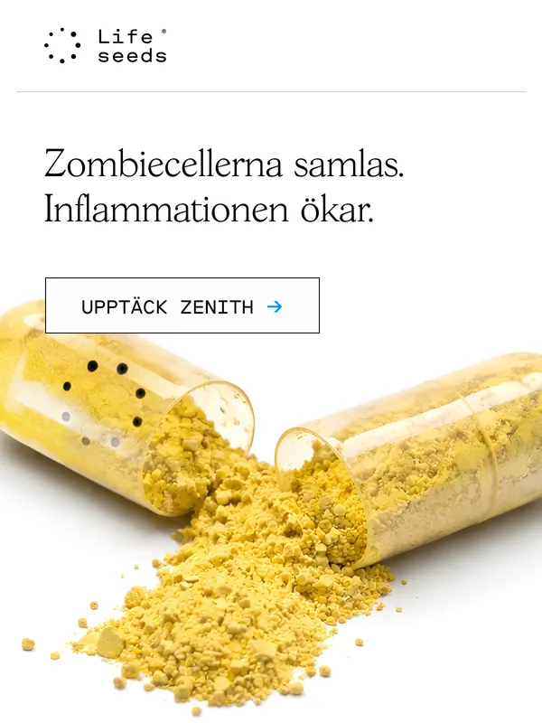 Example of conversion-optimized email design and copy