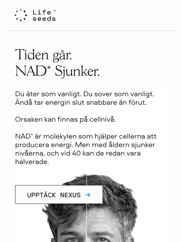Example of conversion-optimized email design and copy